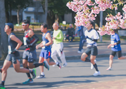 第24回高槻クロスカントリー大会・スポーツ鍼灸ボランティア活動報告